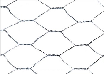 Gabions wire mesh